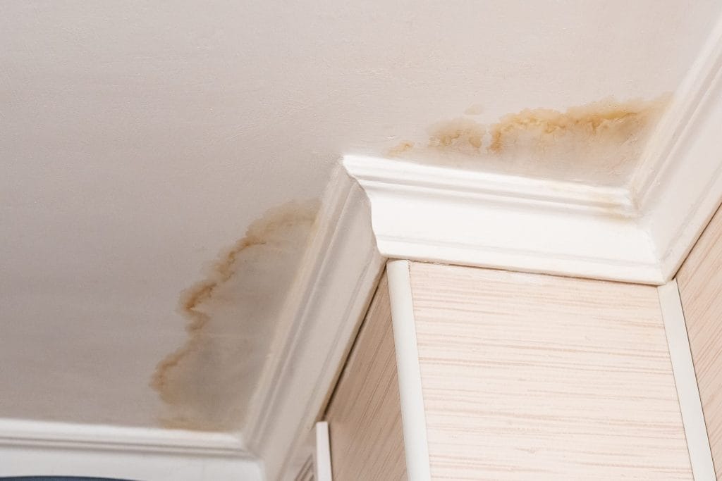 Brown water stains on a ceiling around a wall corner from a leak.